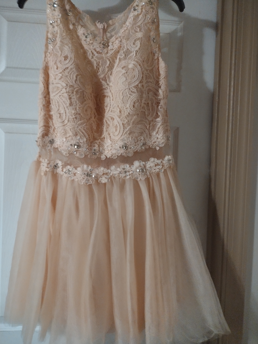 Embellished Lace & Tulle Party Dress in Blush